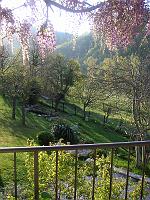 The Garden in Spring - The Garden in Spring